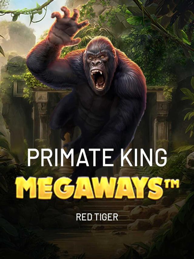 12kbet Login: Guia Rápido e Seguro ✅